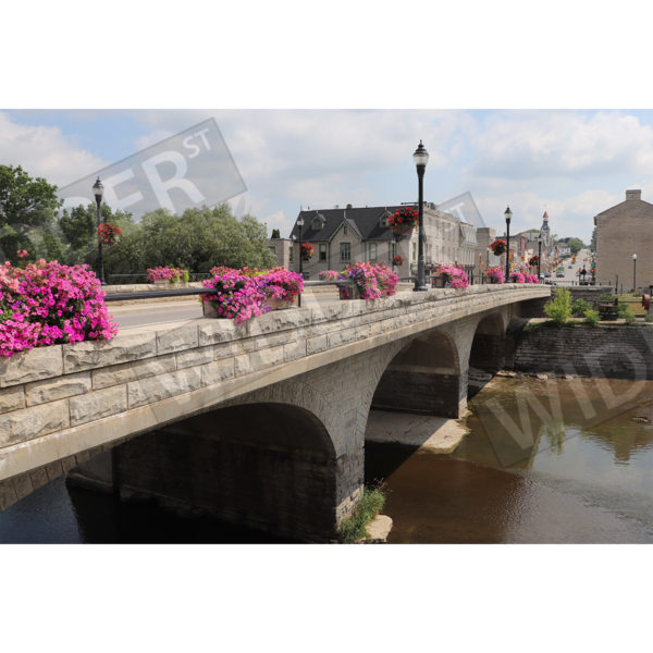 Queen Street Bridge in Bloom Thumb